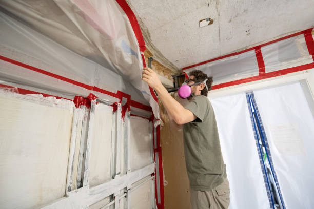 Best Comprehensive Air Testing for Mold Contaminants  in Heflin, AL