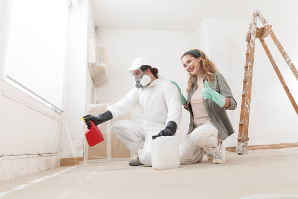 Reliable Heflin, AL Mold Removal Solutions