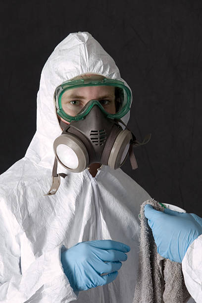 Best Post-Construction Mold Inspection  in Heflin, AL